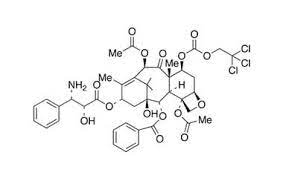 N-Debenzoyl-7-{[(2,2,2,-trichloroethyl)oxy]carbonyl} Paclitaxel