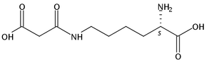 N6-(2-Carboxyacetyl)-L-Lysine