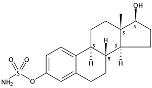 Estradiol Sulfamate