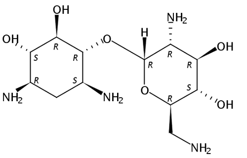 Neamine