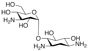 Deoxystreptamine-kanosaminide