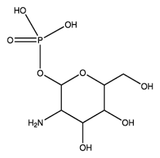 α-D-glucosamine 1-phosphate