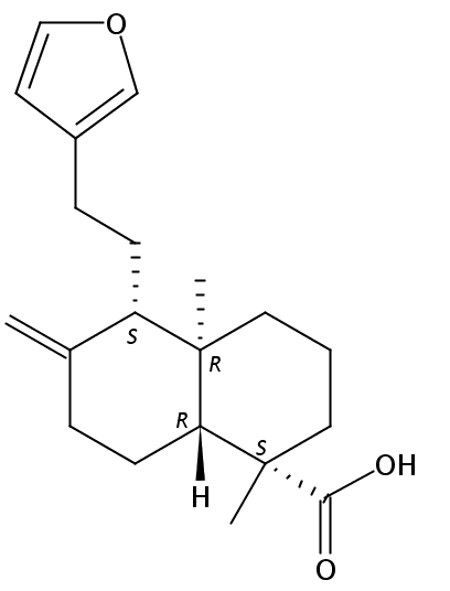 Lambertianic acid